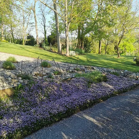 La Vie Est Belle Bed and breakfast