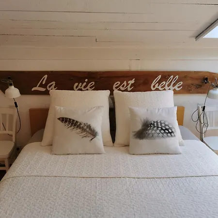 La Vie Est Belle Bed and breakfast Laymont